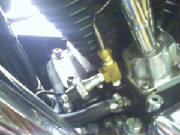 0414081611a.jpg